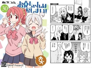 [ギャルぬき！]お兄ちゃんはおしまい！30