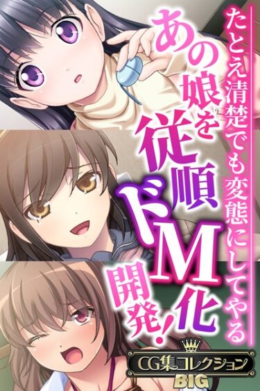 [ギャルぬき！]あの娘を従順ドM化開発！〜たとえ清楚でも変態にしてやる〜【CG集コレクションBIG】