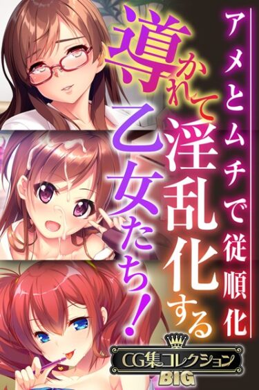 [ギャルぬき！]導かれて淫乱化する乙女たち！〜アメとムチで従順化〜【CG集コレクションBIG】