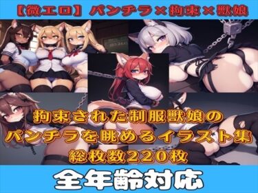 [ギャルぬき！]【微エロ】フェチコレVol.12 拘束された制服姿の獣娘のパンチラコレクション【ケモミミ娘編】