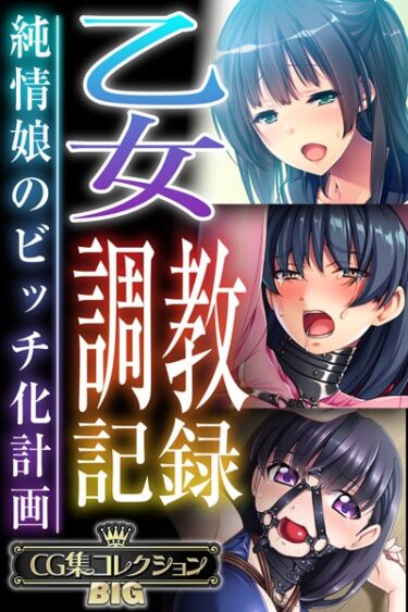 [ギャルぬき！]乙女調教記録〜純情娘のビッチ化計画〜【CG集コレクションBIG】