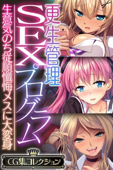 [ギャルぬき！]更生管理SEXプログラム 〜生意気のち従順懺悔メスに大変身〜【CG集コレクション】